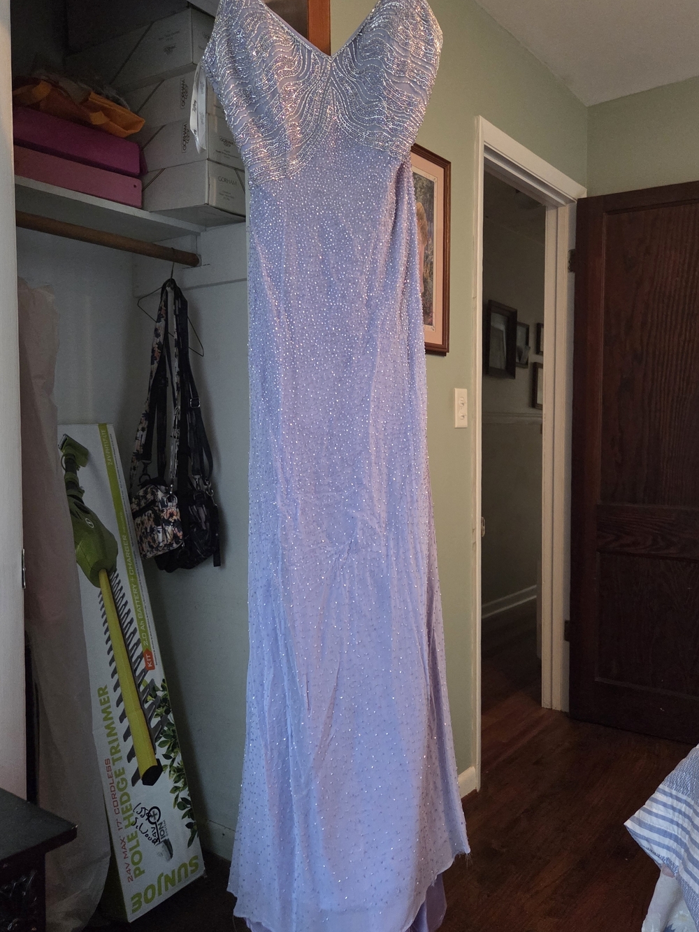 Prom Dress - Picture 5 of 5